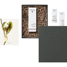 Lade das Bild in den Galerie-Viewer, Dr. Hauschka | Geschenkset BLOOM