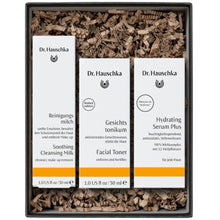 Lade das Bild in den Galerie-Viewer, Dr. Hauschka | Geschenkset FRESH
