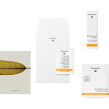 Lade das Bild in den Galerie-Viewer, Dr. Hauschka | Geschenkset PURE
