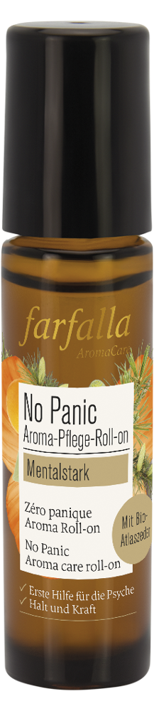 Mentalstark, No Panic - Aroma-Roll-on, 10ml