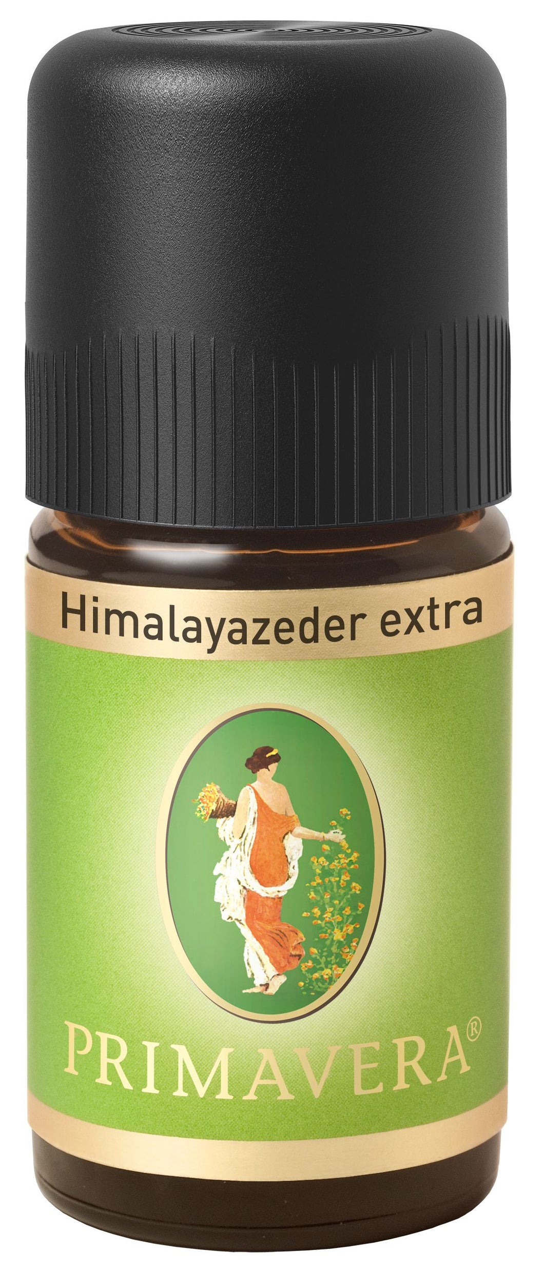 Himalayazeder extra
